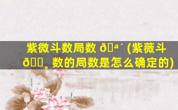 紫微斗数局数 🪴 (紫薇斗 🌸 数的局数是怎么确定的)